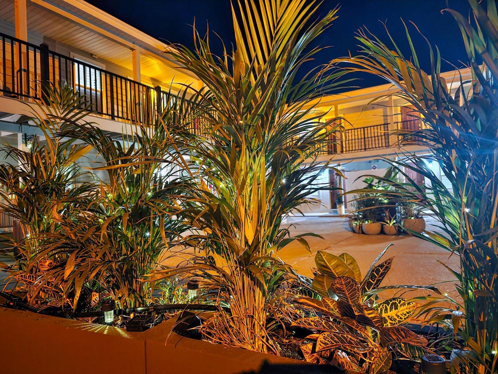 Beach 5 Villas On Amelia Island Steps To The Ocean Fernandina Beach Exteriér fotografie